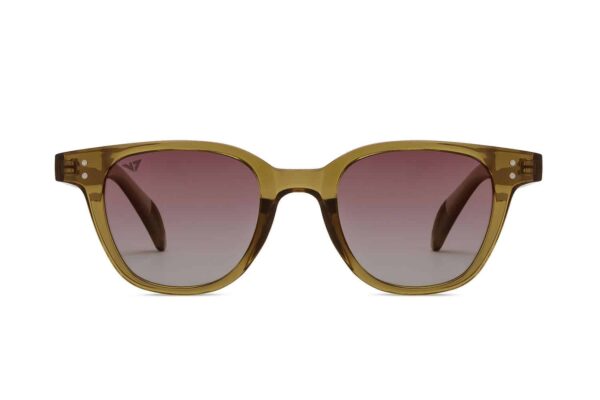 Brown Transparent Full Rim Wayfarer Sunglasses